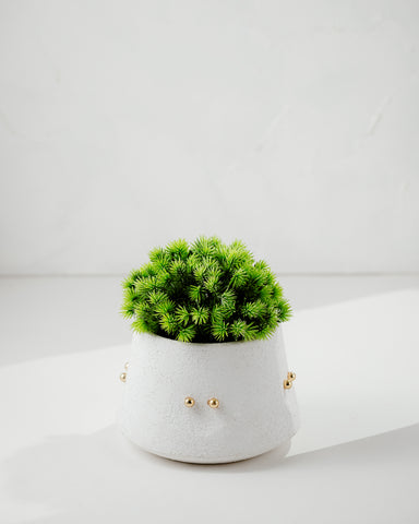 Terra Brass Pot